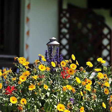 Haus Jochblick Familie Loinger Alojamento de Acomodação e Pequeno-almoço