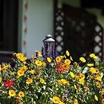 Haus Jochblick Familie Loinger Bed & Breakfast